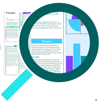 Individual feedback reports